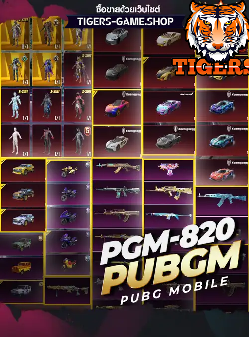TIGERS-GAME.SHOP